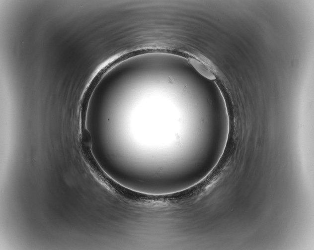 X0000085750838200703161053
