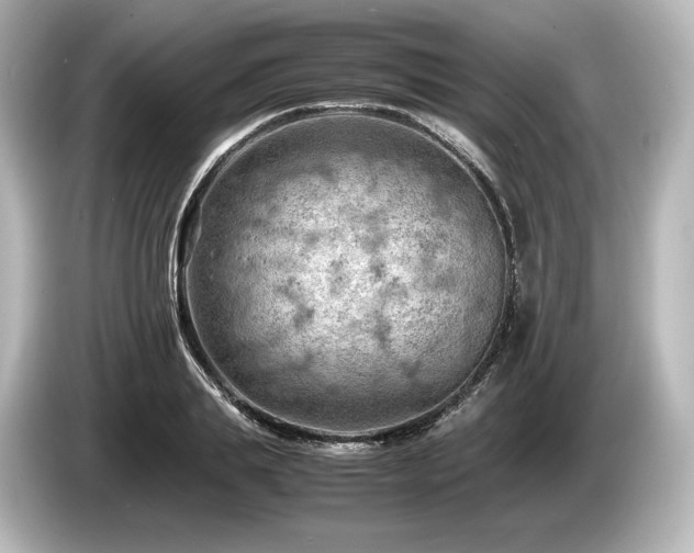 X0000085750839200703161053