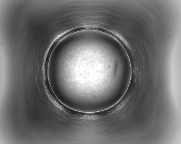 X0000085750840200703161053