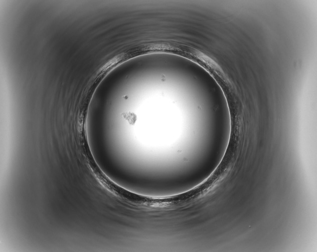 X0000085750841200703161053