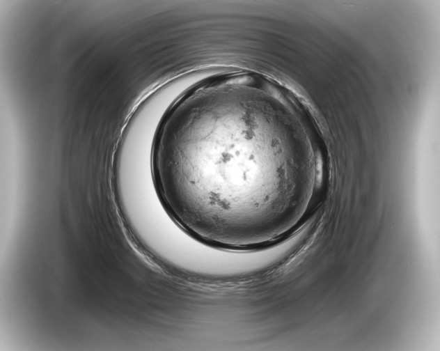 X0000085750842200703161053