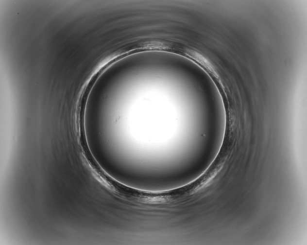 X0000085750843200703161053