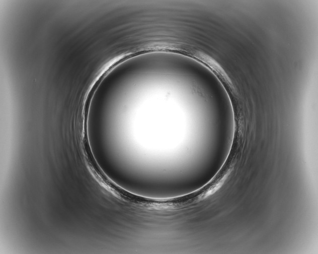 X0000085750844200703161053
