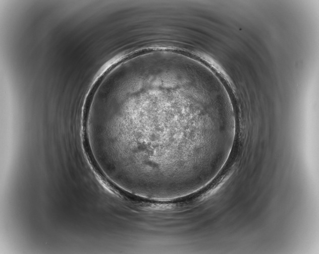 X0000085750845200703161053