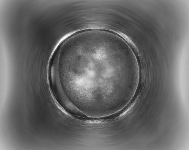 X0000085750846200703161053