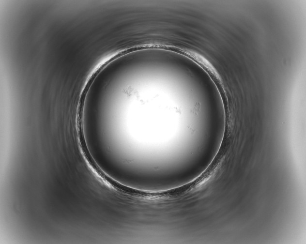 X0000085750847200703161053