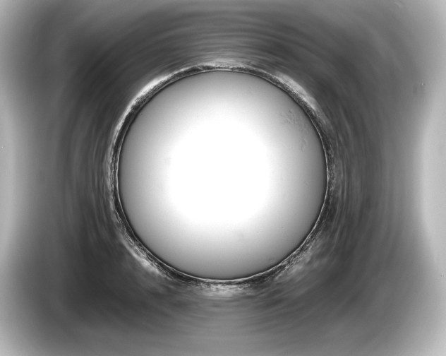 X0000085750848200703161053