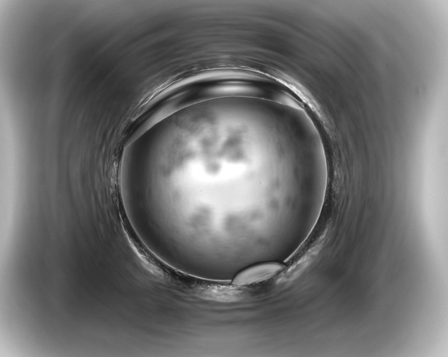 X0000085750849200703161053