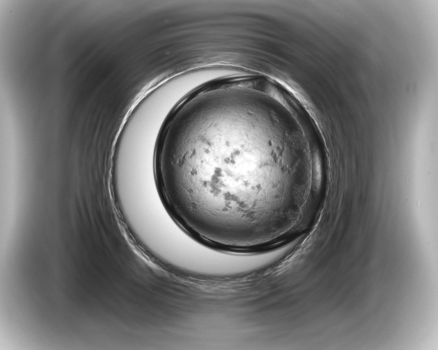 X0000085750850200703161053