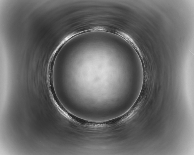 X0000085750851200703161053