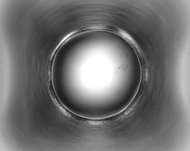 X0000085750852200703161053