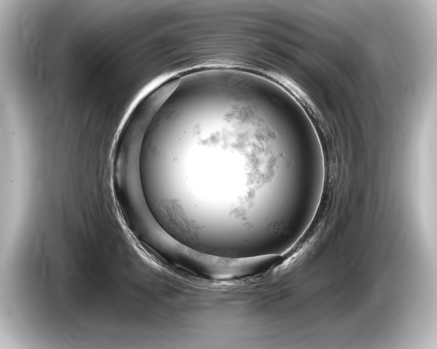 X0000085750854200703161053