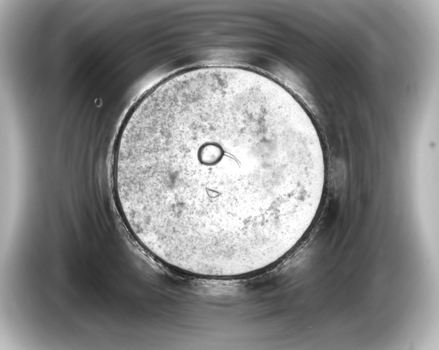X0000085750856200703161053