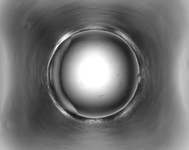X0000085750858200703161053