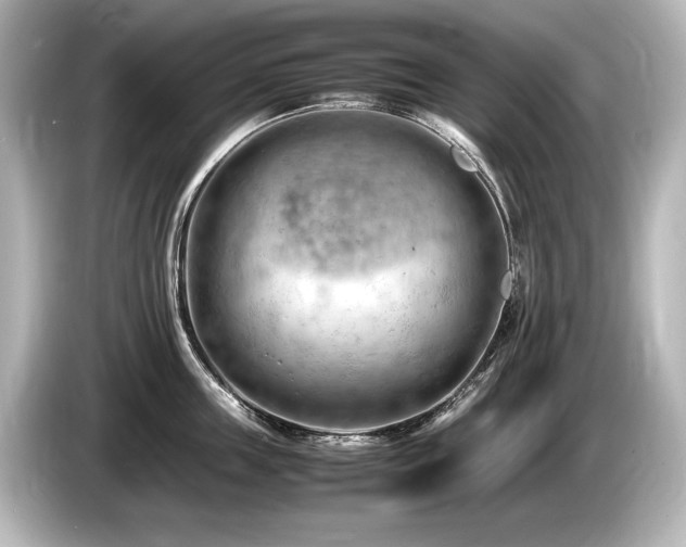 X0000085750859200703161053