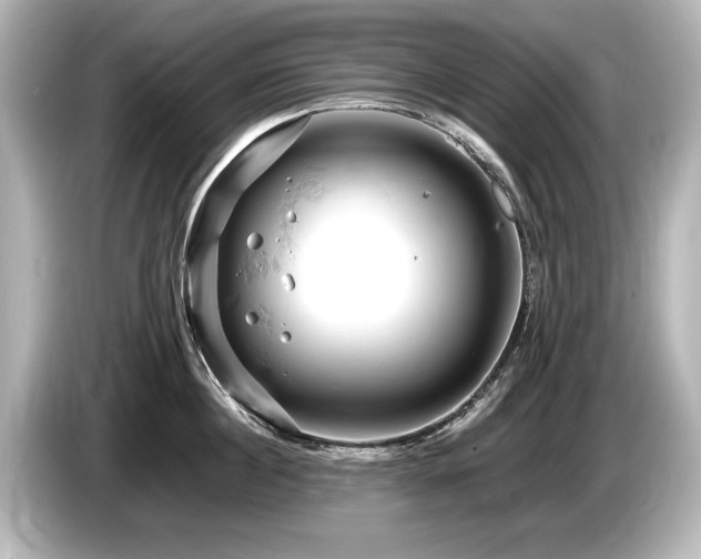 X0000085750860200703161053