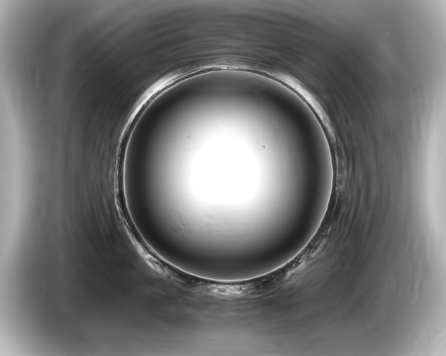 X0000085750861200703161053
