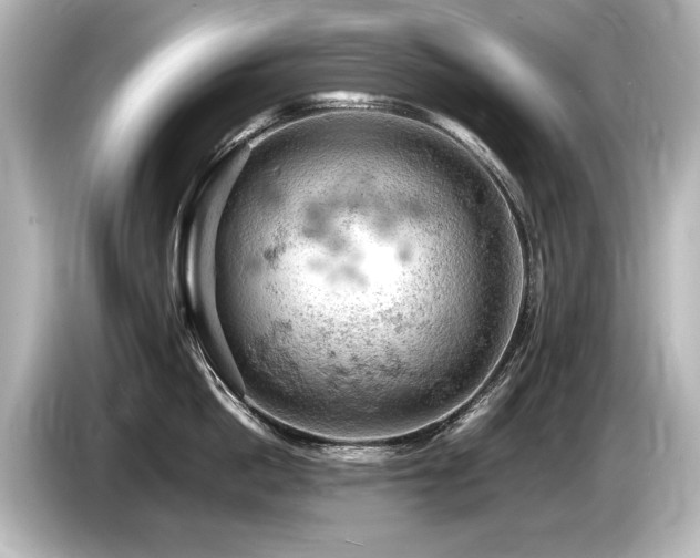 X0000085750862200703161053