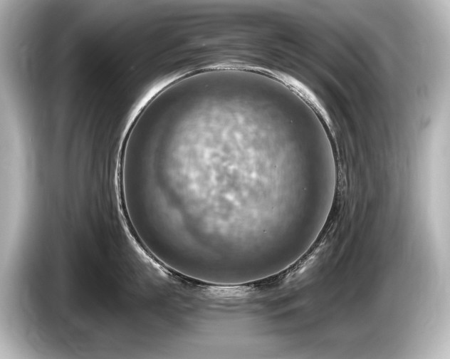 X0000085750863200703161053