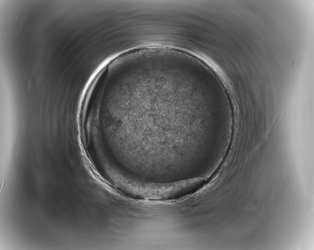 X0000085750864200703161053