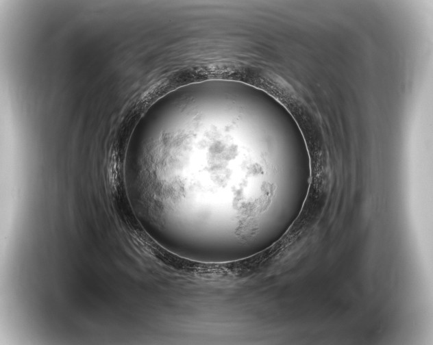 X0000085750866200703161052