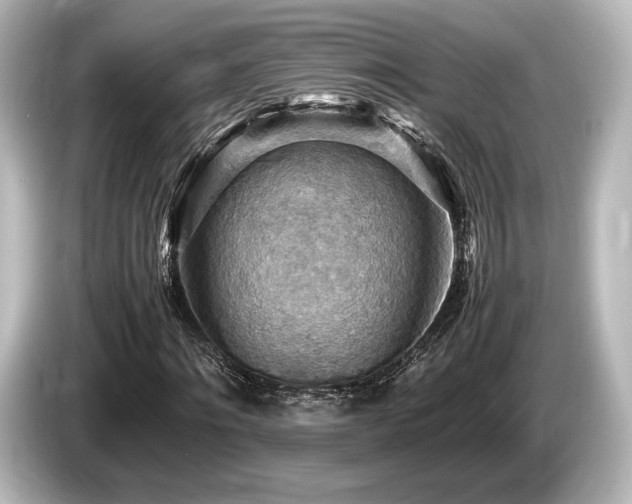 X0000085750868200703161052