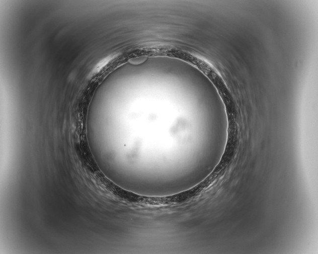 X0000085750871200703161052