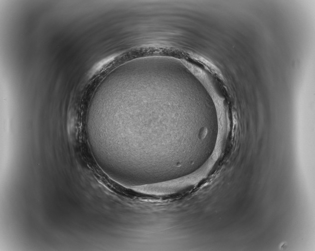 X0000085750872200703161052
