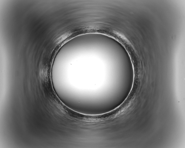 X0000085750873200703161052