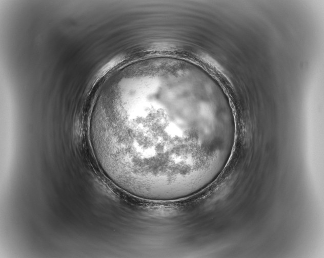 X0000085750874200703161052