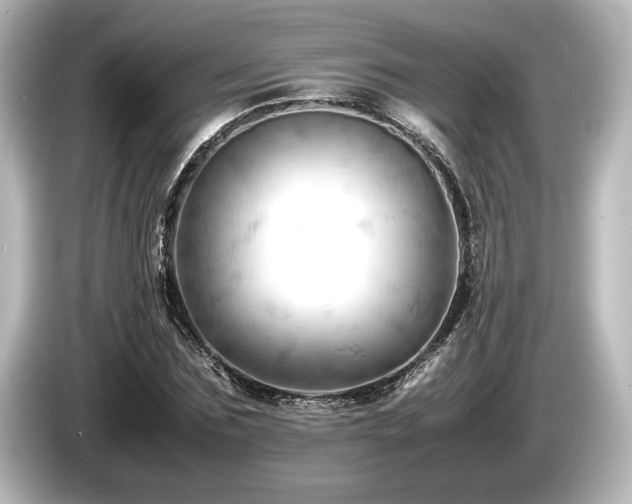X0000085750875200703161052