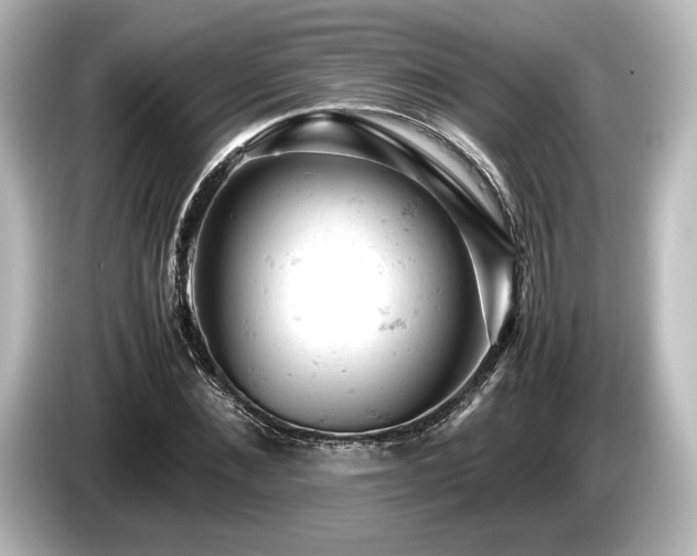 X0000085750876200703161052