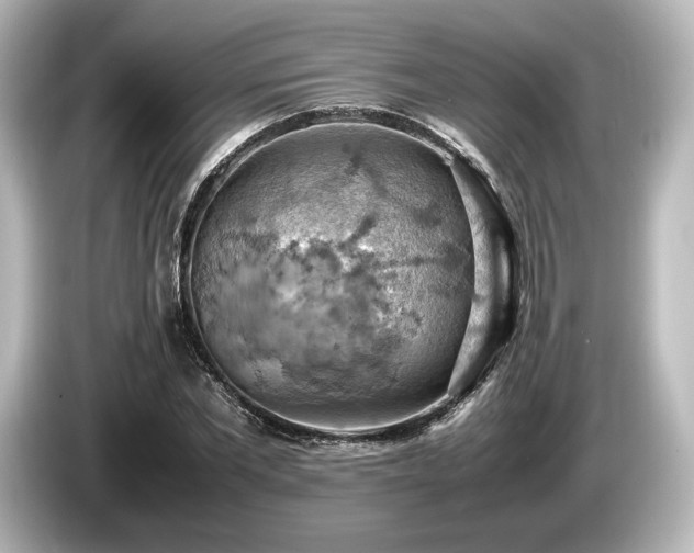 X0000085750877200703161052