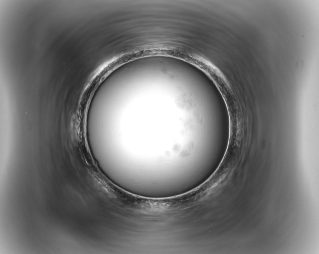 X0000085750878200703161052