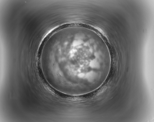 X0000085750879200703161052