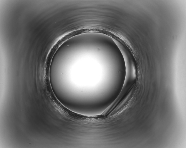X0000085750880200703161052