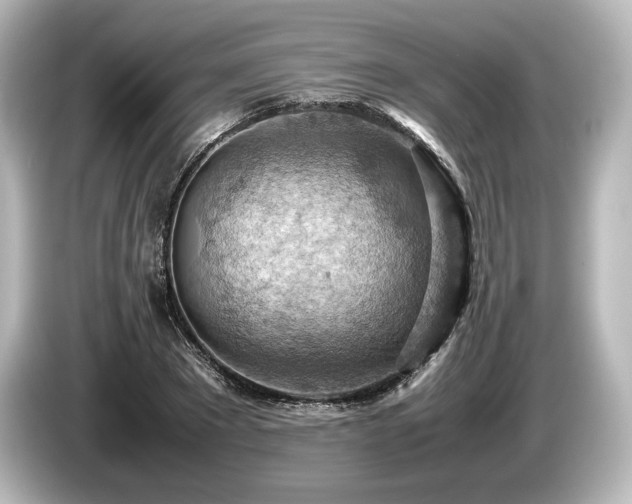 X0000085750881200703161052