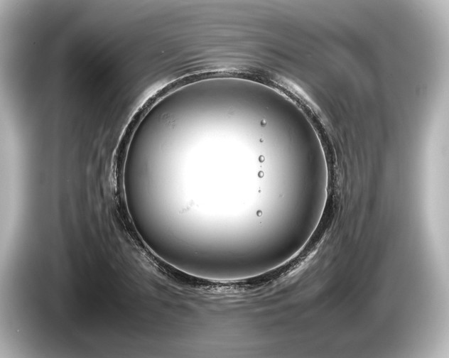 X0000085750883200703161052