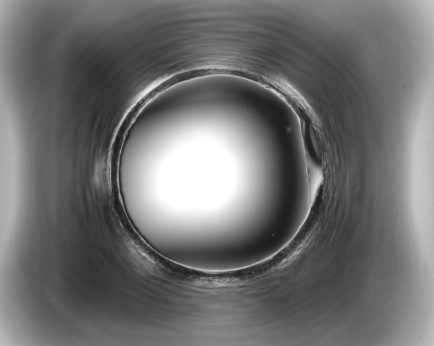 X0000085750884200703161052