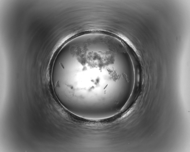 X0000085750885200703161052
