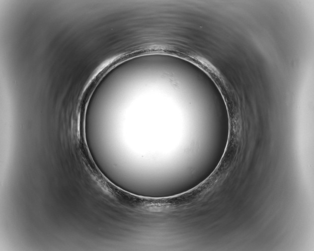X0000085750886200703161052