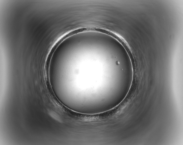 X0000085750887200703161052