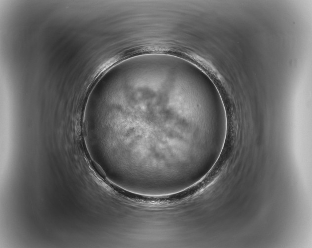 X0000085750889200703161052