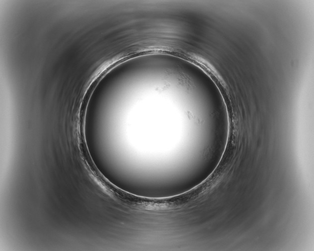 X0000085750890200703161052