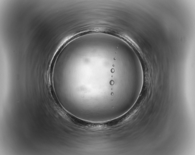 X0000085750891200703161052