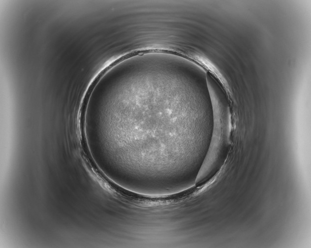 X0000085750892200703161052