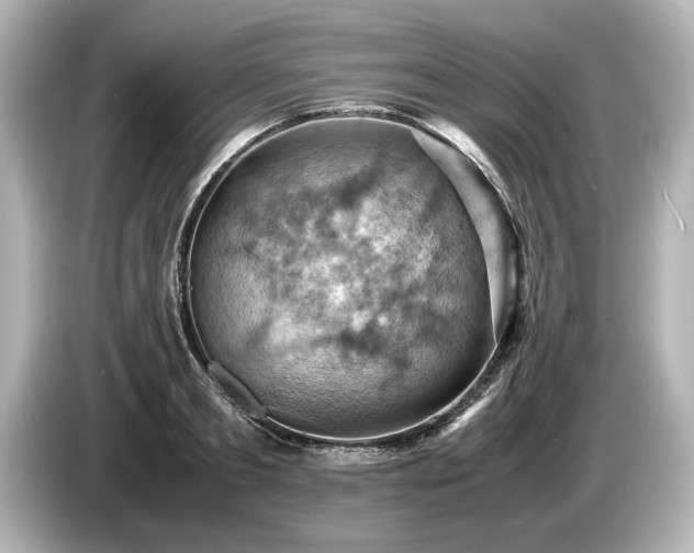X0000085750893200703161052