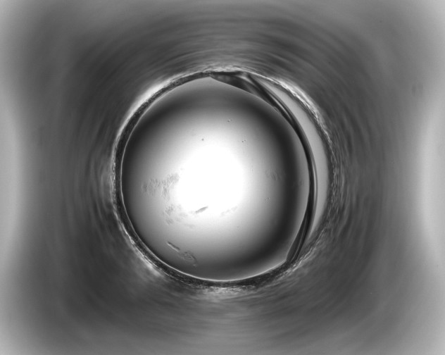 X0000085750894200703161052