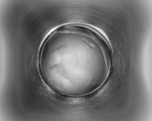 X0000085750895200703161052