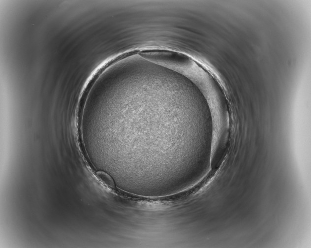X0000085750896200703161052